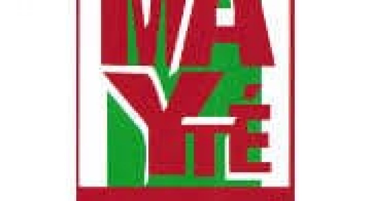 logo mayte